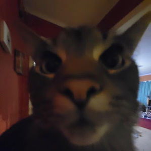 Meet your Posher, Abigail